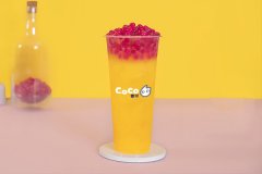 coco加盟费如何制定的