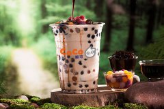 coco奶茶港式小吃可以加盟吗-加盟支持有哪些-